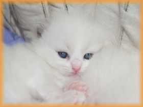 Felia18TageWeb2.jpg