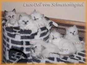 G-Wurf7WOchenWeb.jpg