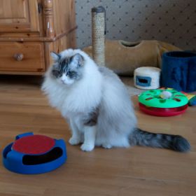 benji3jahrealt1.jpg