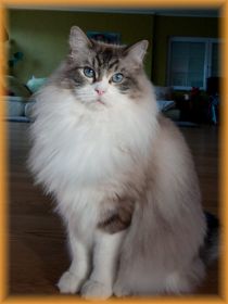 Benji4Jahrealt.jpg
